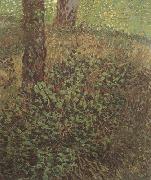 Vincent Van Gogh Undergrowth (nn04) oil painting picture wholesale